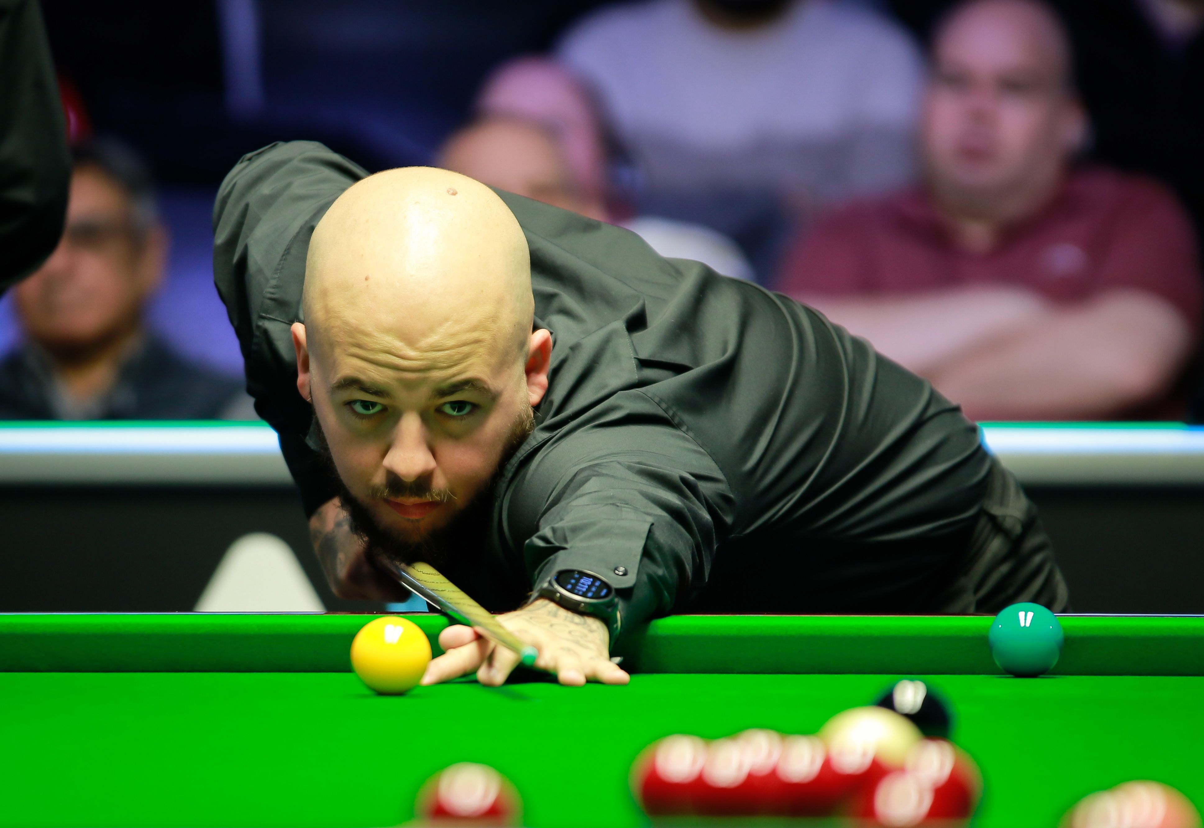 不仅仅因为 不仅仅因为