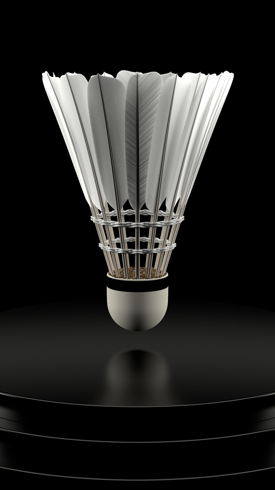 了老将们的 了老将们的